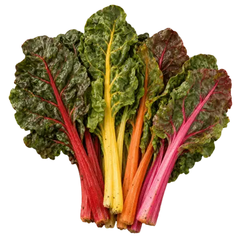 Chard, picked