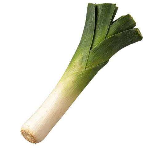 Leeks, picked