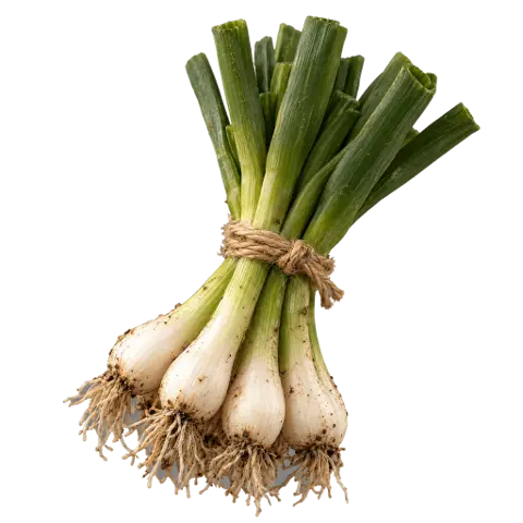 Onions, picked
