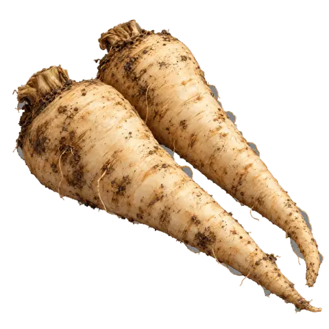 Parsnips, picked