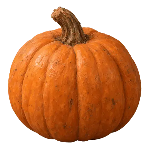 Pumpkins, picked