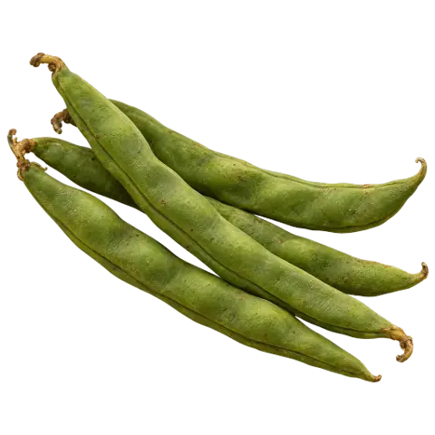 Runner beans, picked